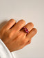 Fisk Ring