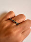 Abhishu Ring