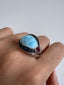 Walter Ring