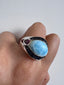 Walter Ring