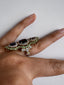 Eden Ring