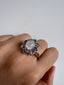 Ann Ring