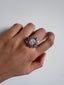 Ann Ring