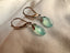 Jenny Earrings