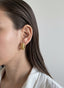 Teji Earrings