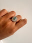 Joel Ring