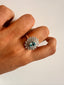 Joel Ring